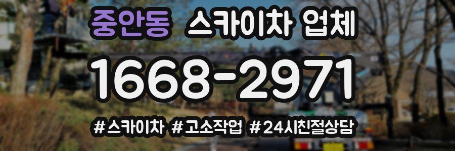 중안동 스카이차 업체