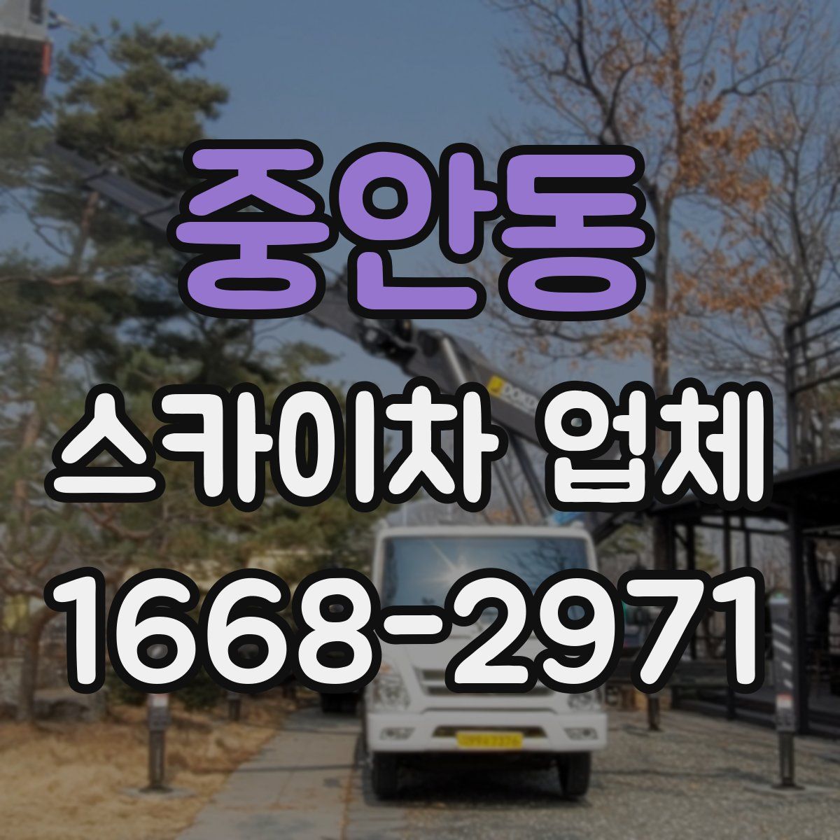 중안동 스카이차 업체