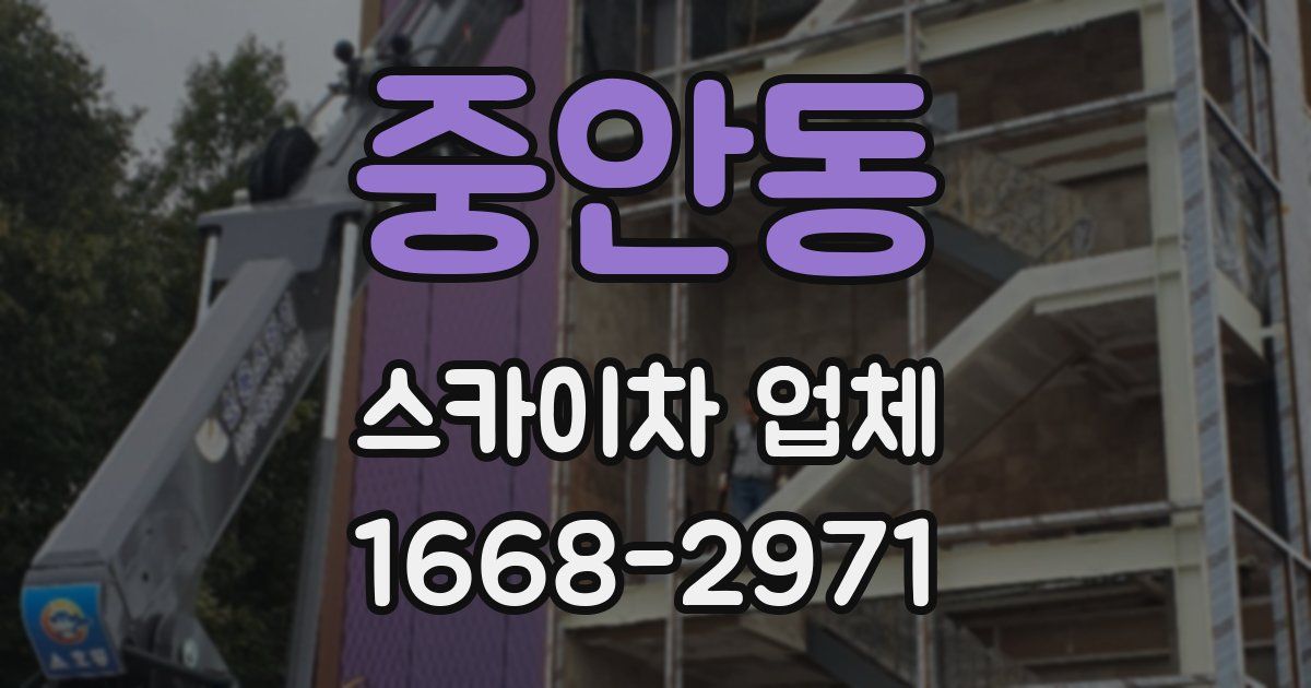 중안동 스카이차 업체