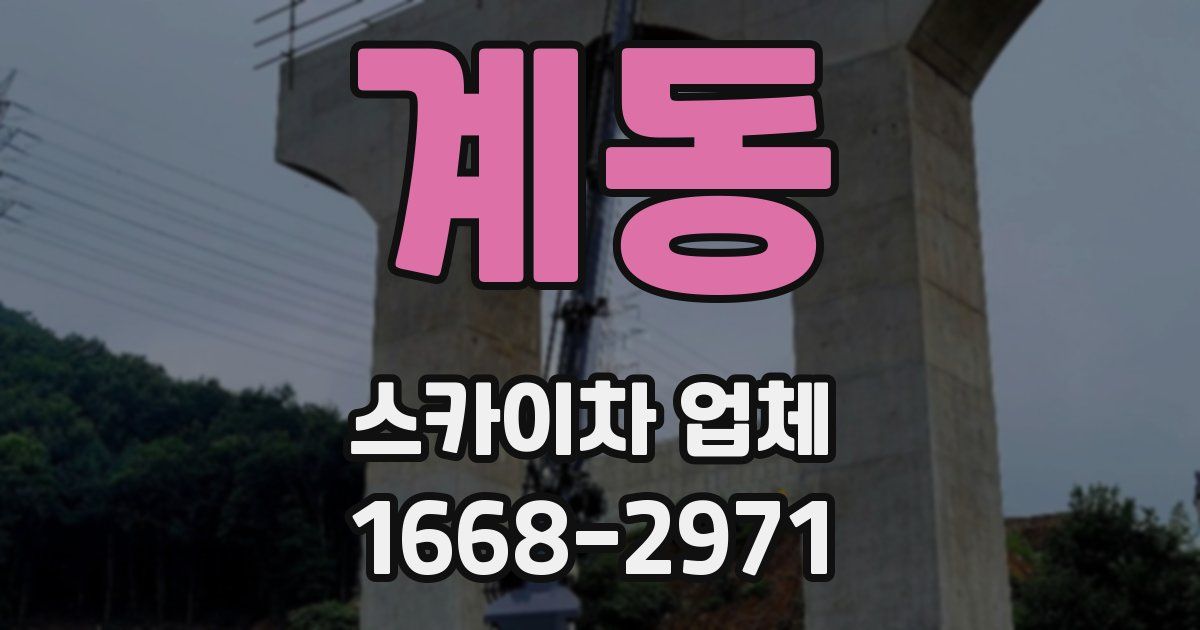 계동 스카이차 업체