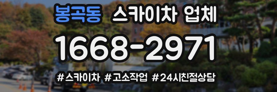 봉곡동 스카이차 업체