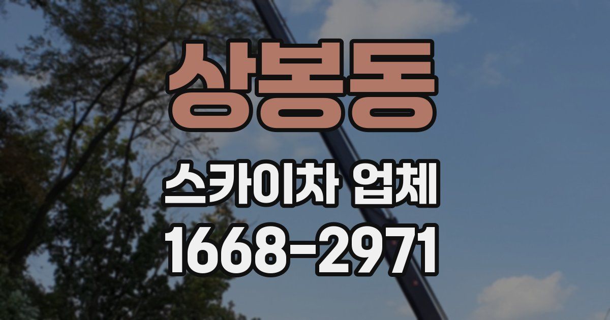 상봉동 스카이차 업체