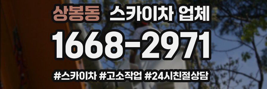 상봉동 스카이차 업체