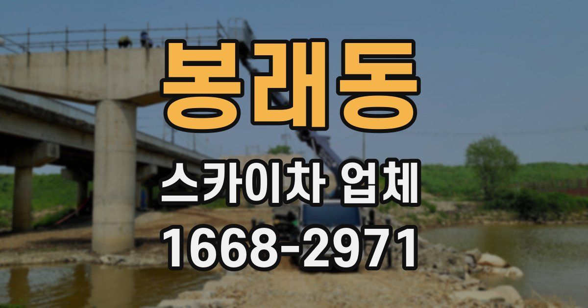 봉래동 스카이차 업체