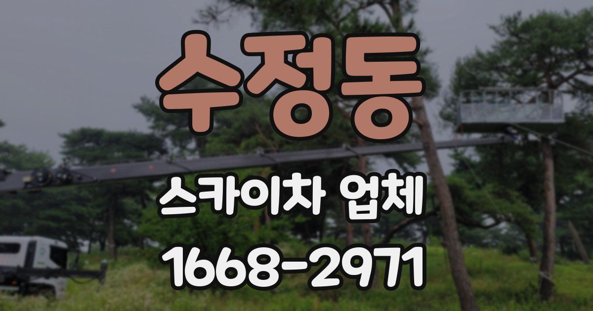수정동 스카이차 업체