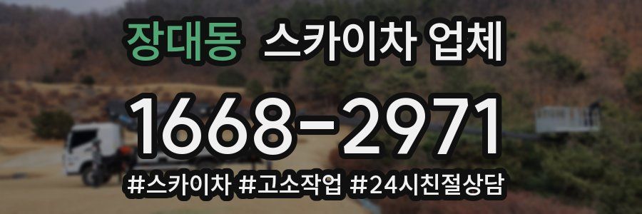 장대동 스카이차 업체