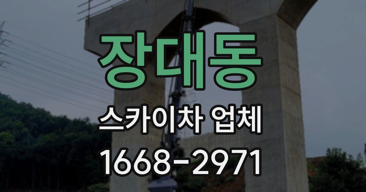 장대동 스카이차 업체