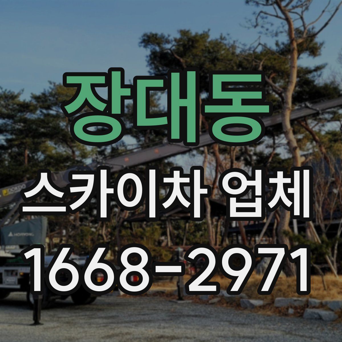 장대동 스카이차 업체