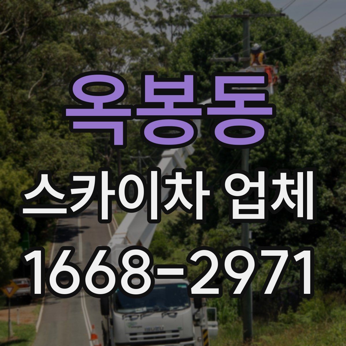 옥봉동 스카이차 업체 선택에서 현장 경험이 주는 차이