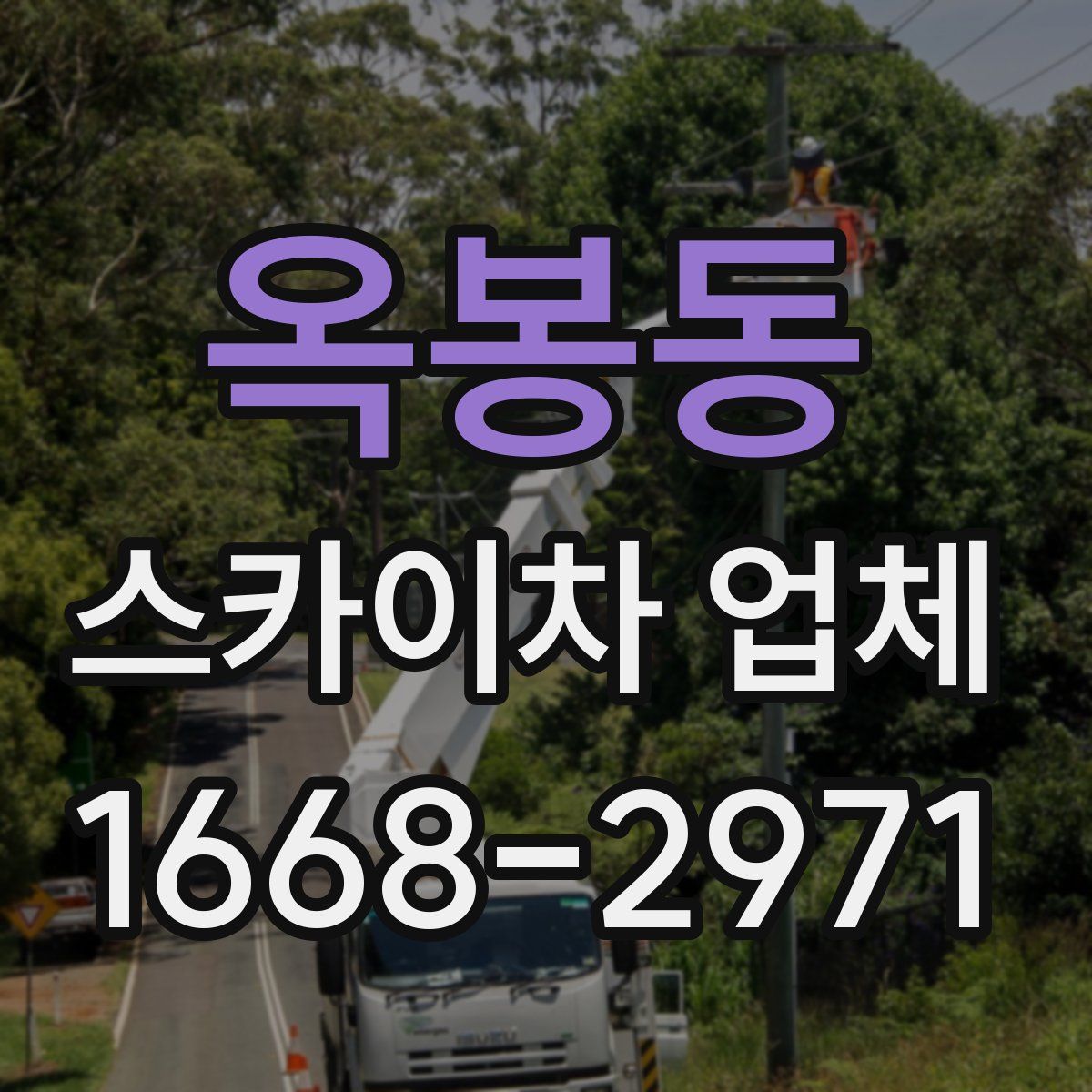 옥봉동 스카이차 업체