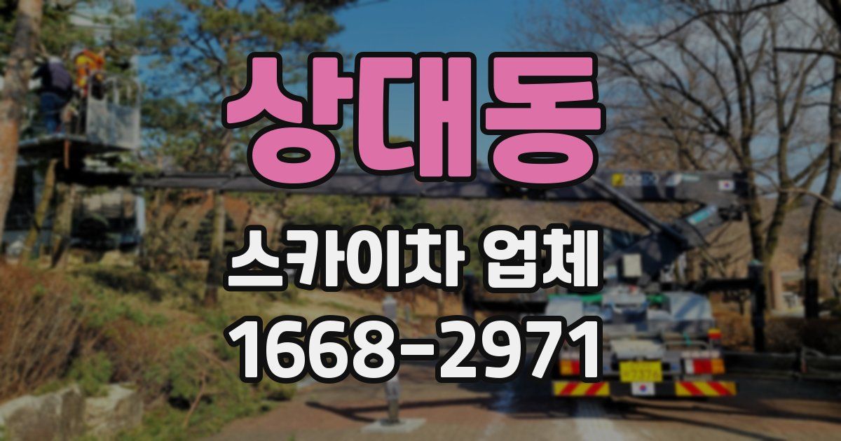 상대동 스카이차 업체