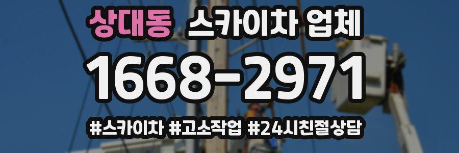 상대동 스카이차 업체