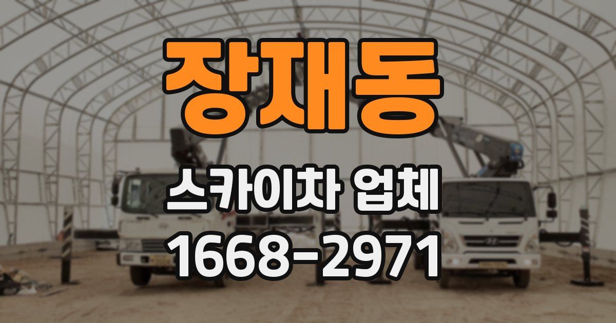 장재동 스카이차 업체