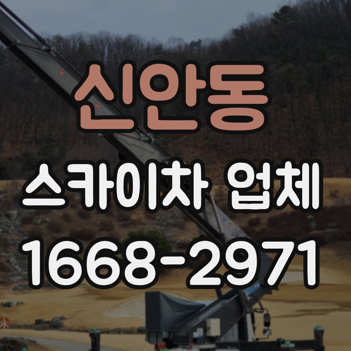 신안동 스카이차 업체