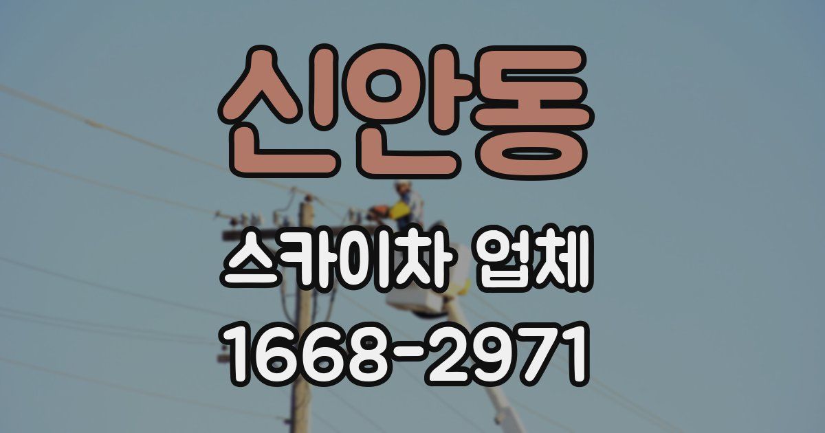 신안동 스카이차 업체