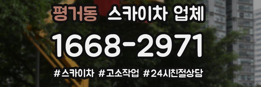 평거동 스카이차 업체