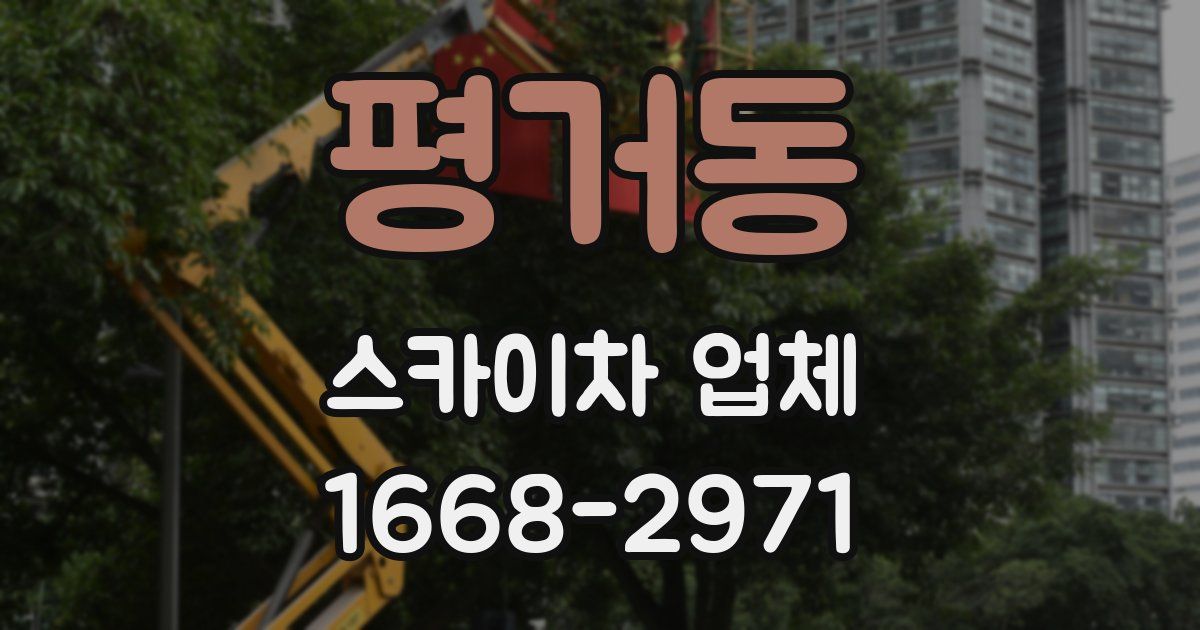 평거동 스카이차 업체