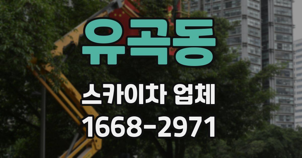 유곡동 스카이차 업체