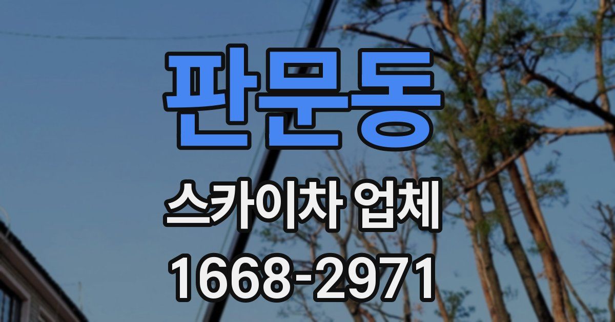 판문동 스카이차 업체