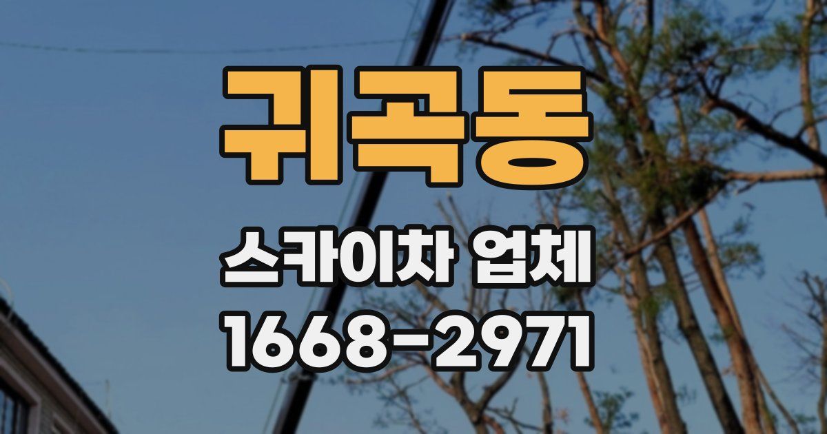 귀곡동 스카이차 업체