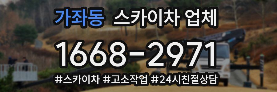 가좌동 스카이차 업체
