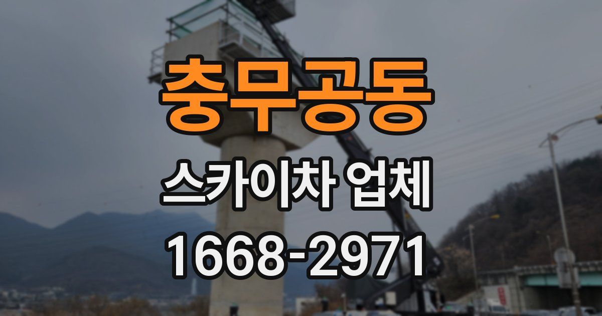 충무공동 스카이차 업체
