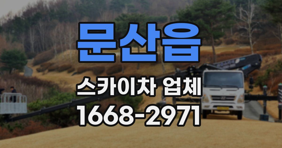 문산읍 스카이차 업체