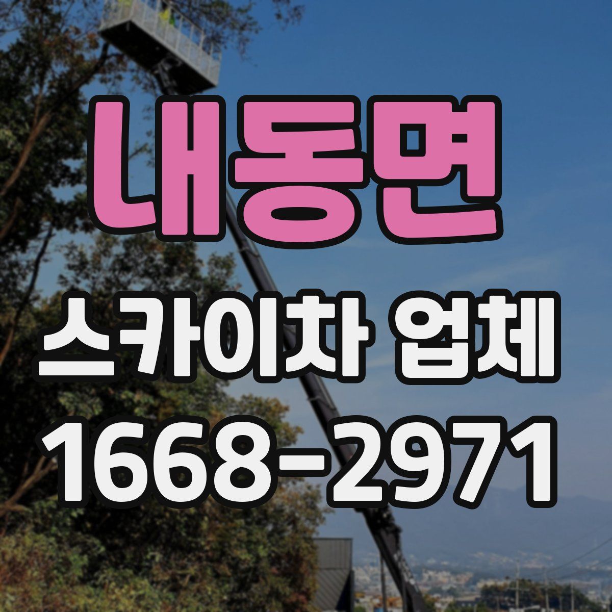 내동면 스카이차 업체