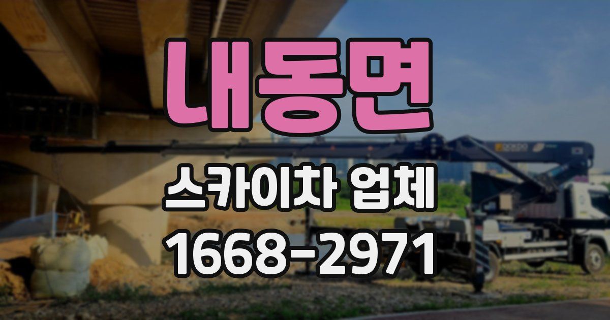 내동면 스카이차 업체