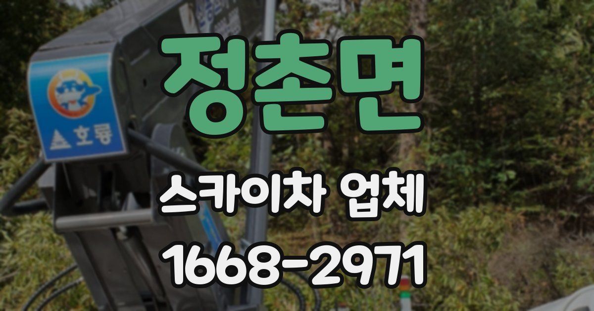 정촌면 스카이차 업체