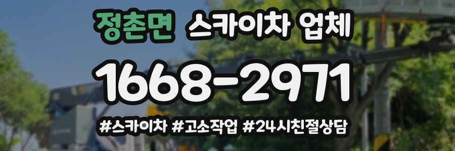 정촌면 스카이차 업체