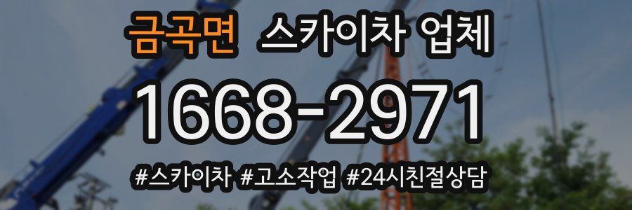 금곡면 스카이차 업체