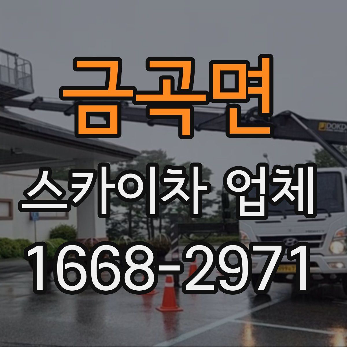 금곡면 스카이차 업체