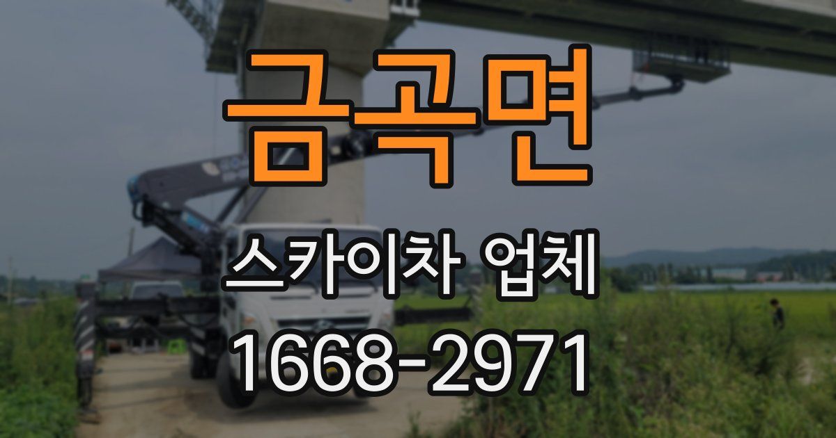 금곡면 스카이차 업체