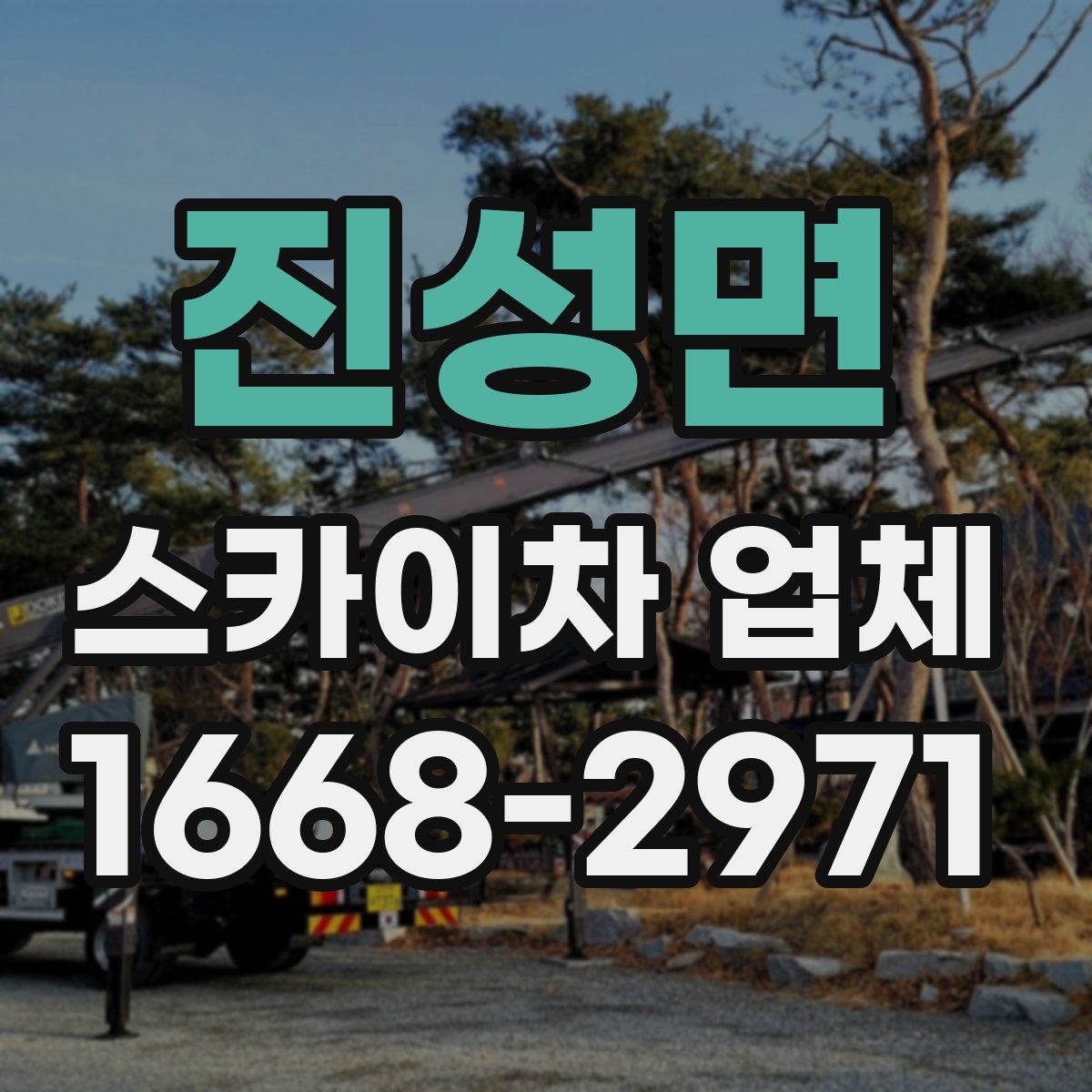 진성면 스카이차 업체