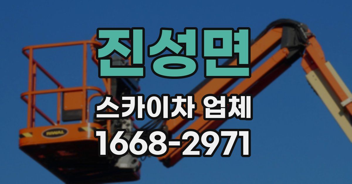 진성면 스카이차 업체