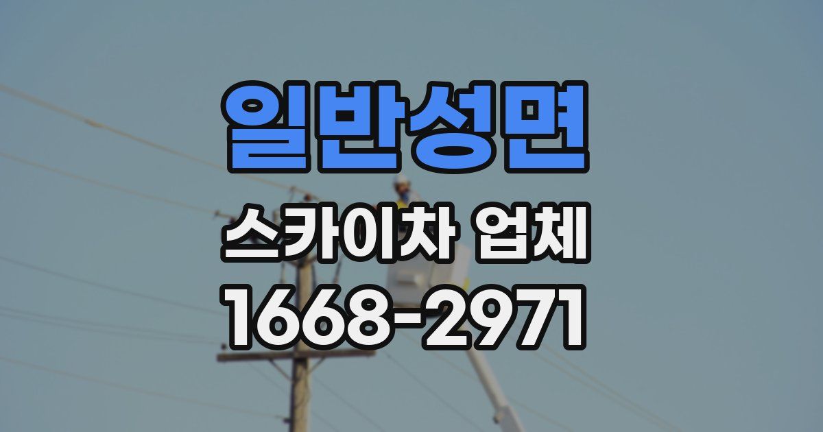일반성면 스카이차 업체