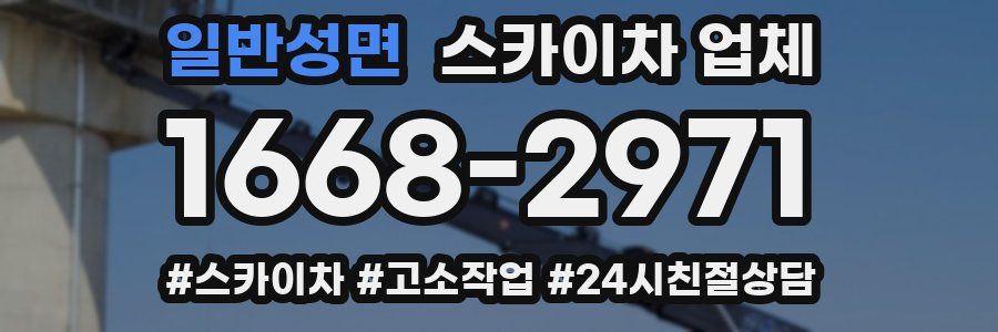 일반성면 스카이차 업체