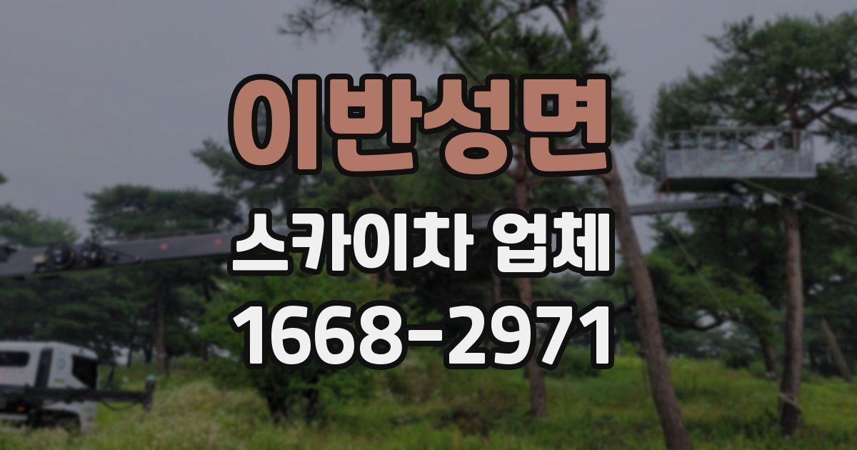 이반성면 스카이차 업체