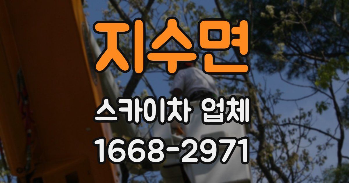 지수면 스카이차 업체