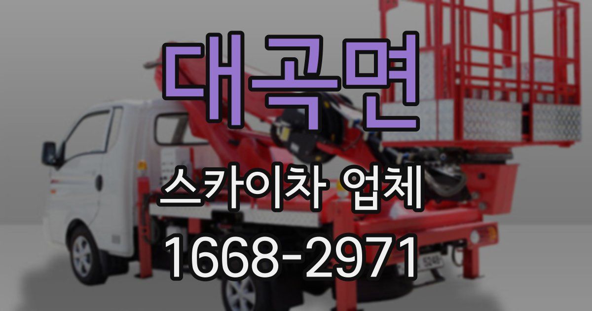 대곡면 스카이차 업체