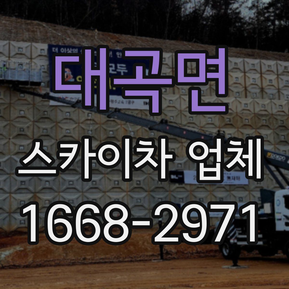 대곡면 스카이차 업체