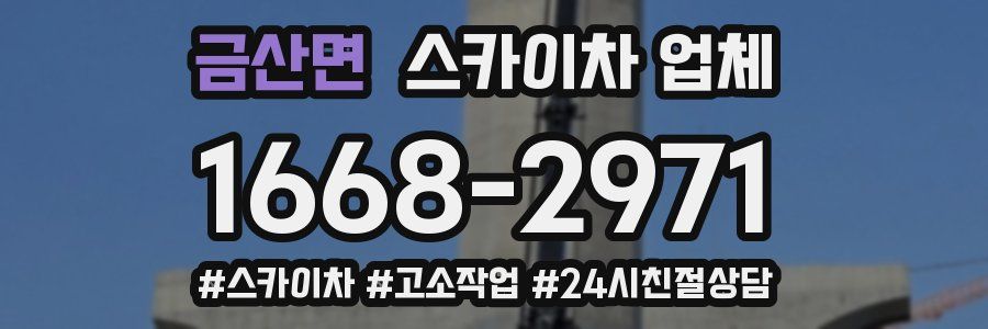 금산면 스카이차 업체