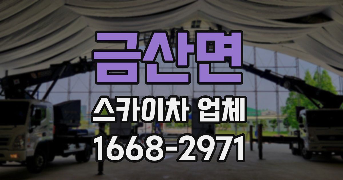 금산면 스카이차 업체