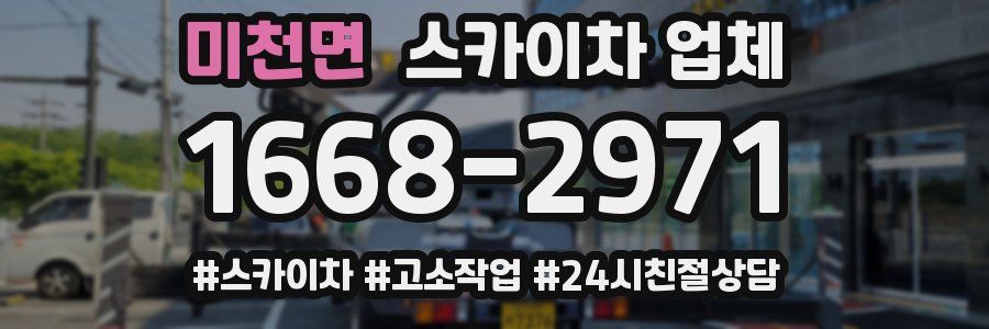 미천면 스카이차 업체
