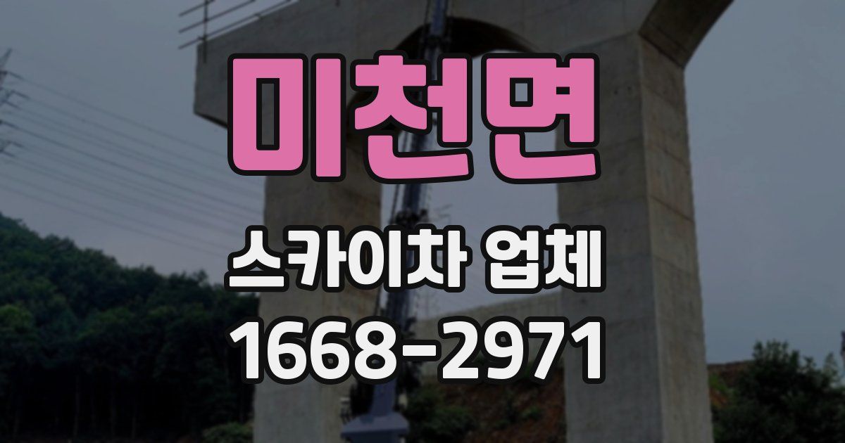 미천면 스카이차 업체