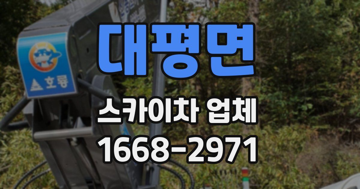 대평면 스카이차 업체