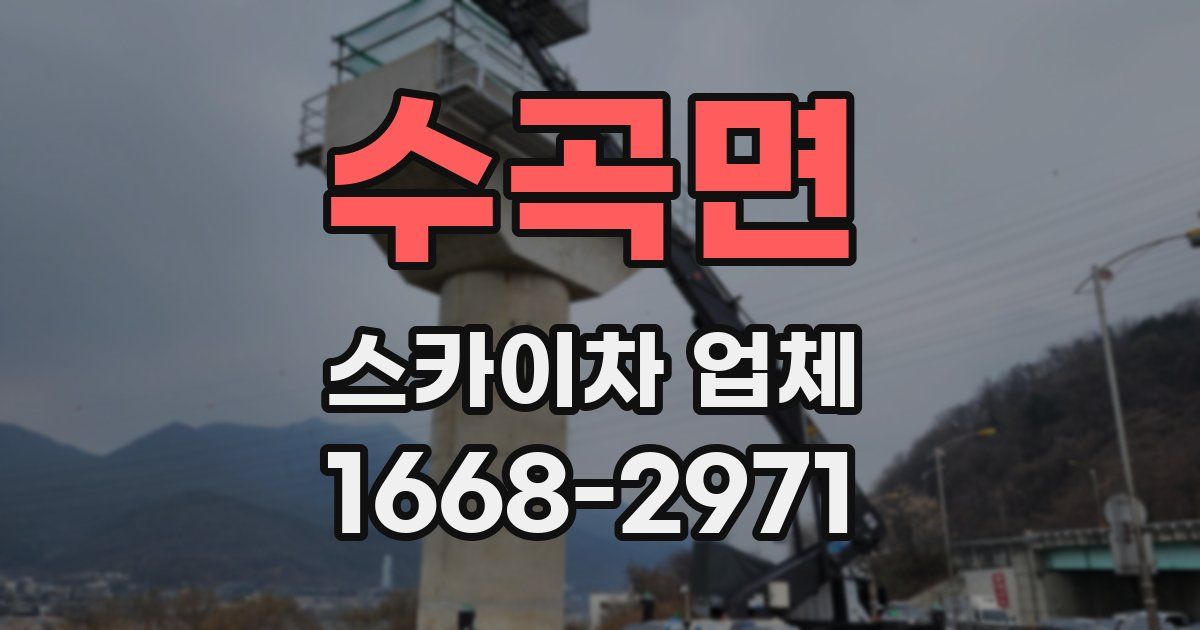 수곡면 스카이차 업체
