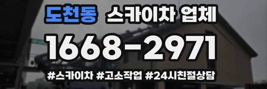도천동 스카이차 업체