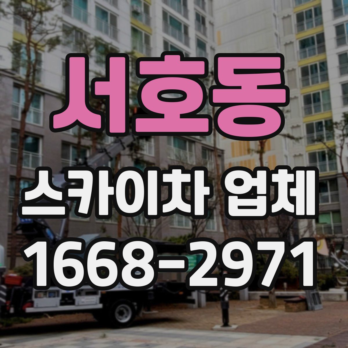 서호동 스카이차 업체